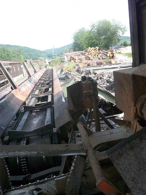 Round Timber Cutt Off Plant Sänger and Massierer Holtec - Image 1