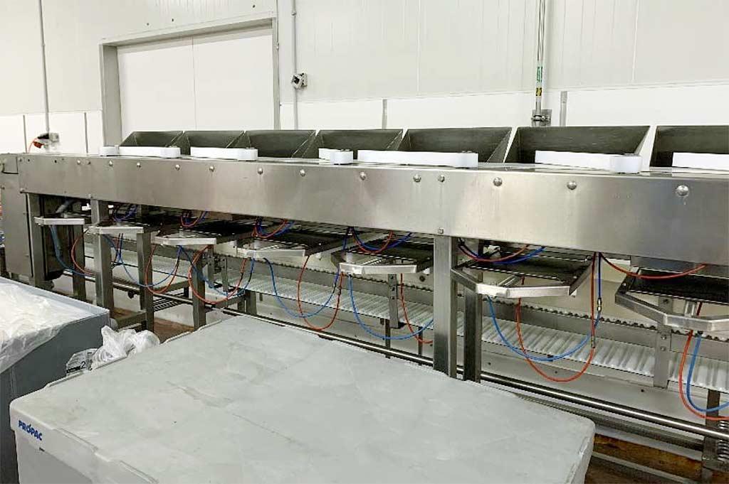 Sorting and Weighing Machine Scanvaegt - Thumbnail 4