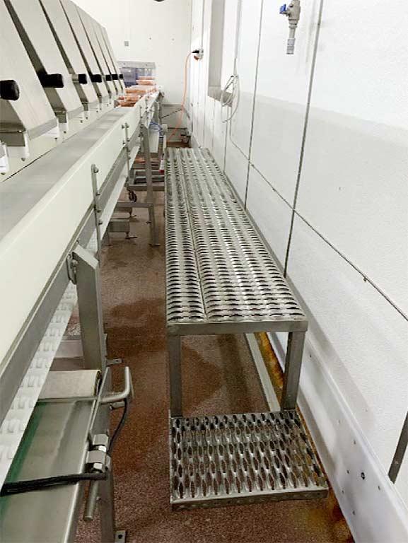 Sorting and Weighing Machine Scanvaegt - Thumbnail 5