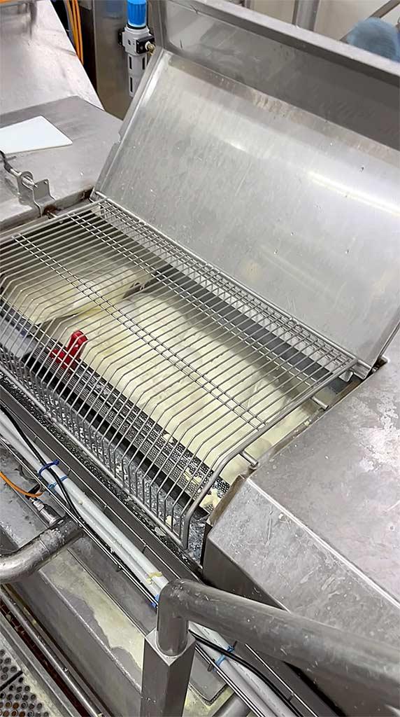 Complete Mozzarella Production Line Dima - Thumbnail 2