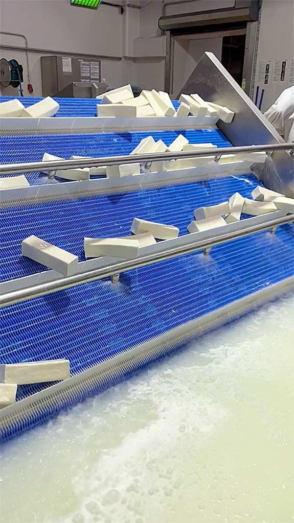 Complete Mozzarella Production Line Dima - Thumbnail 5