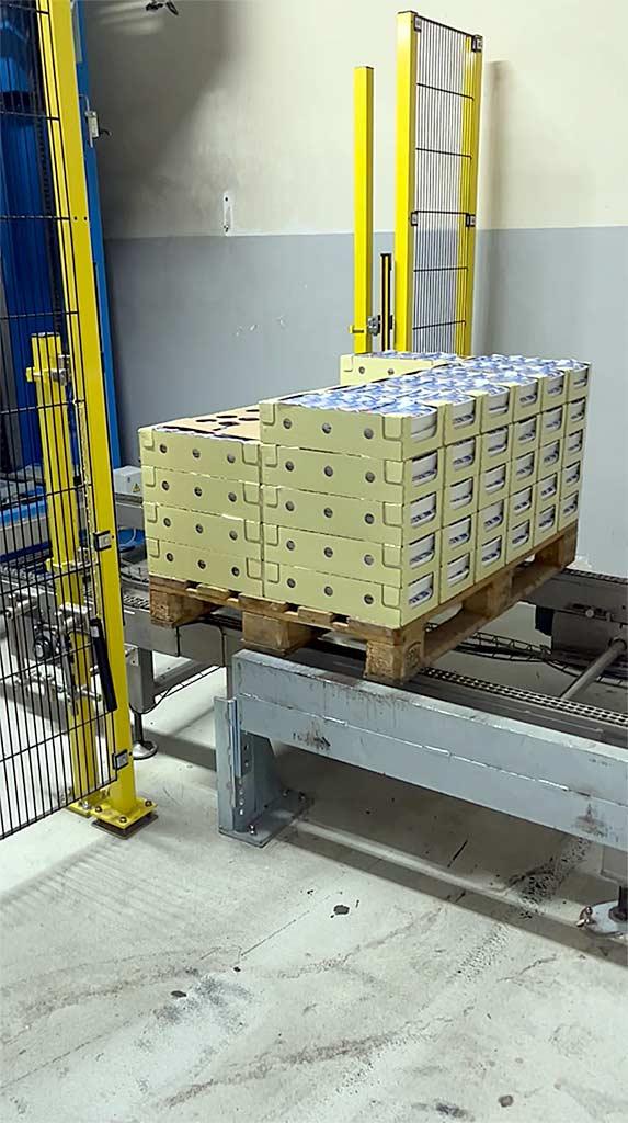 Complete Mozzarella Production Line Dima - Thumbnail 8
