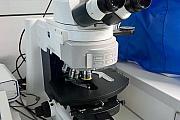 Microscope Carl Zeiss Axio Imager.M2m