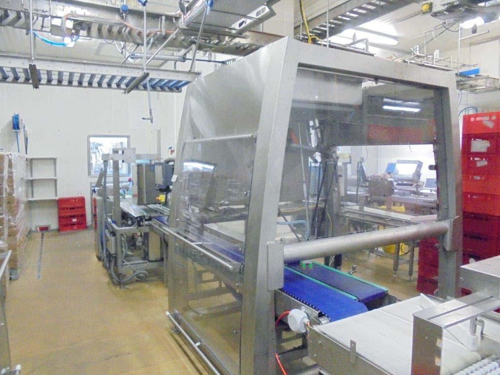 Automatic Pick and Place System Ishida IPS FLEX SINGLE LANE - Thumbnail 2