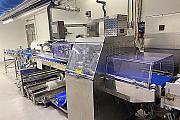 Bag Forming, Filling and Sealing Machine Fuji FW3710 BS/Ba7