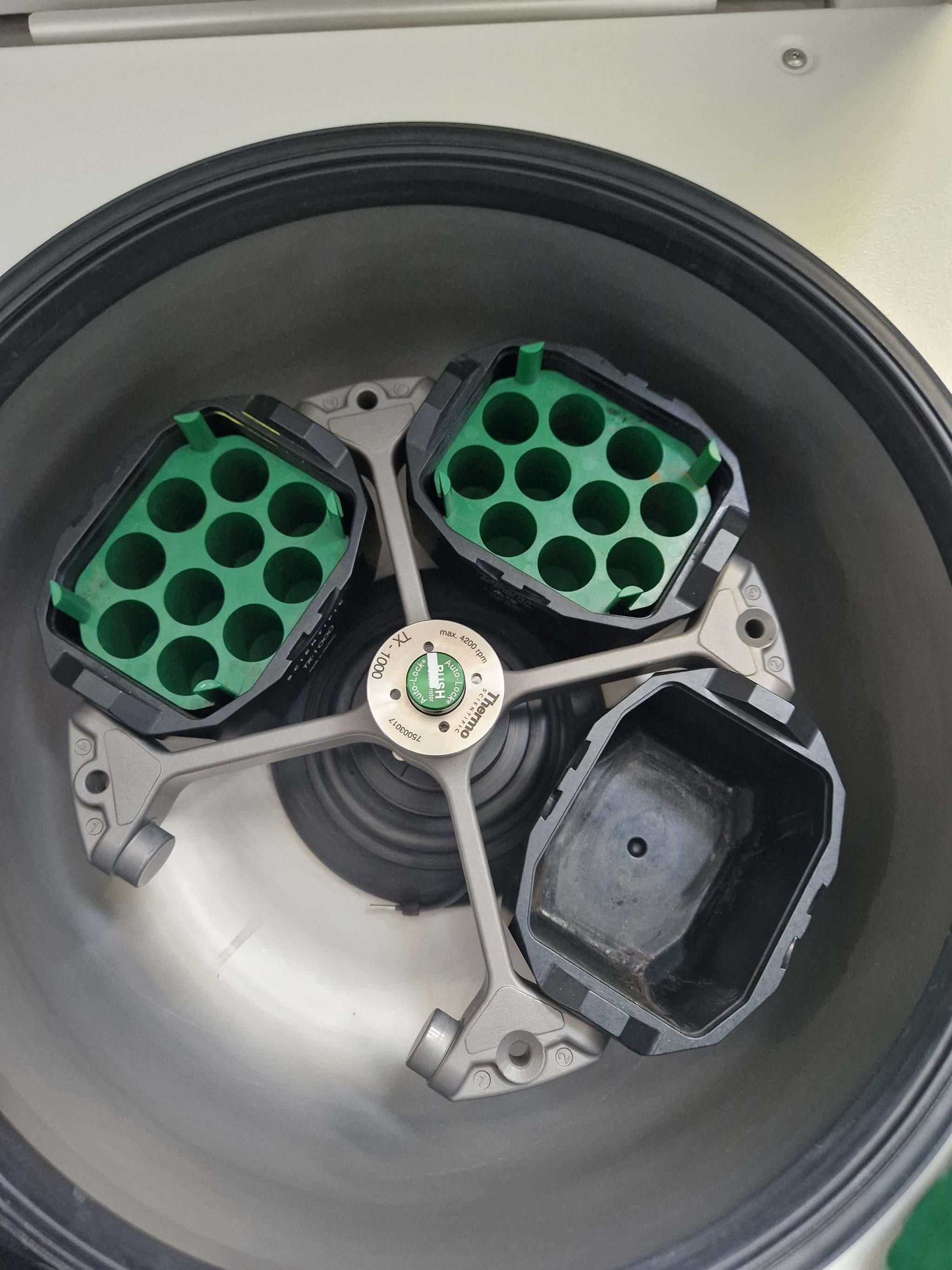 Centrifuge Thermofischer Scientific Multifuge X3 FR - Thumbnail 4