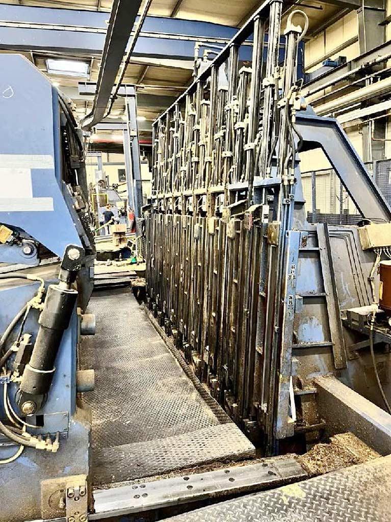Veneer Plant Cremona - Thumbnail 4