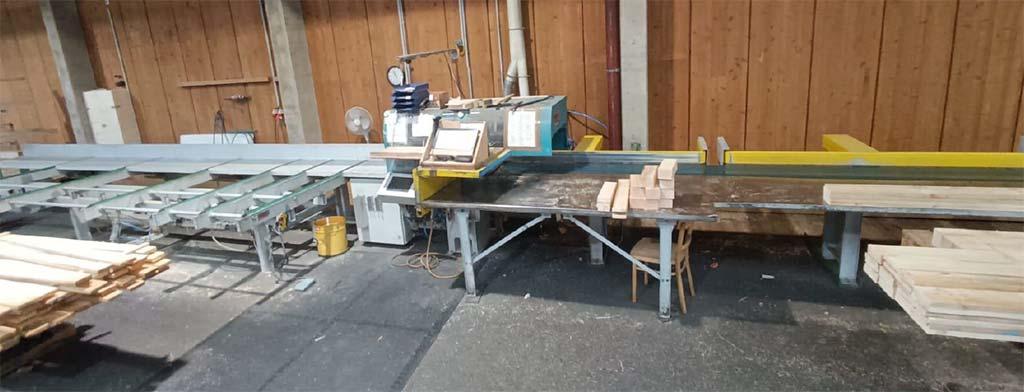 Cross-Cut Saw Reinhardt Slimline SL 170 - Image 1