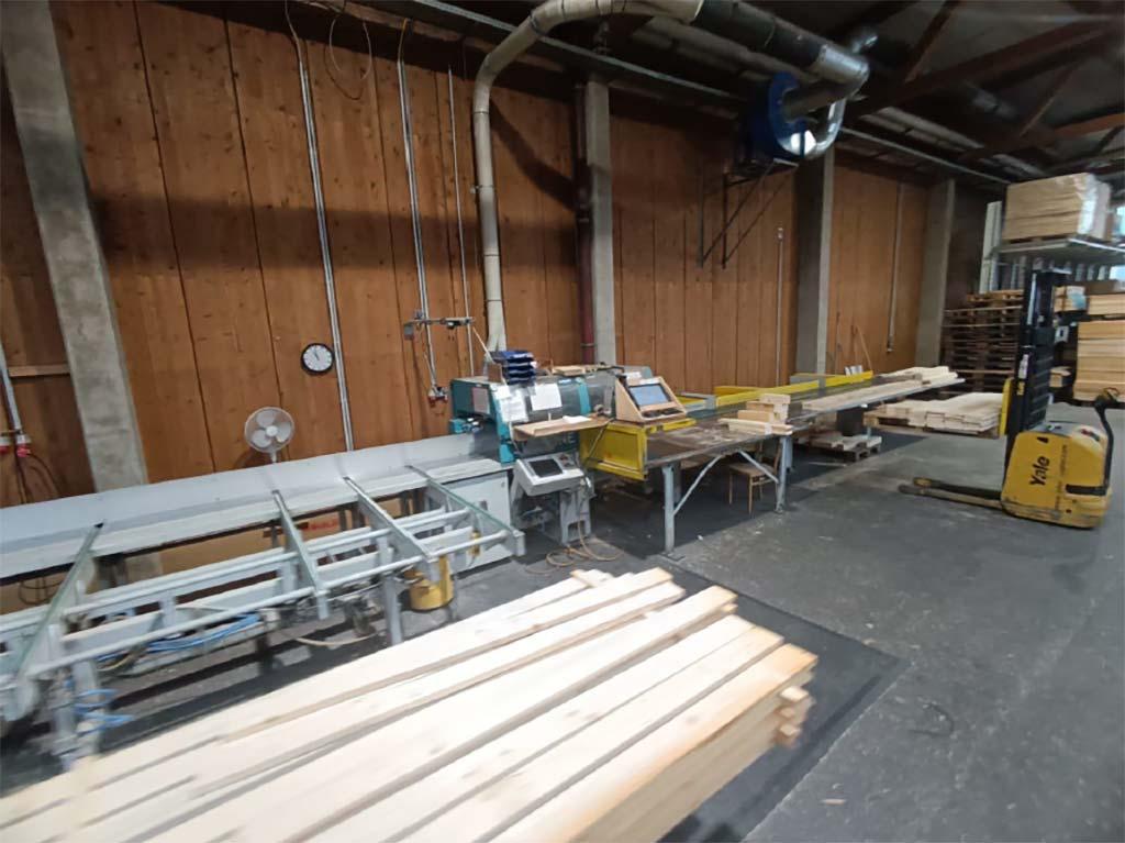 Cross-Cut Saw Reinhardt Slimline SL 170 - Thumbnail 5